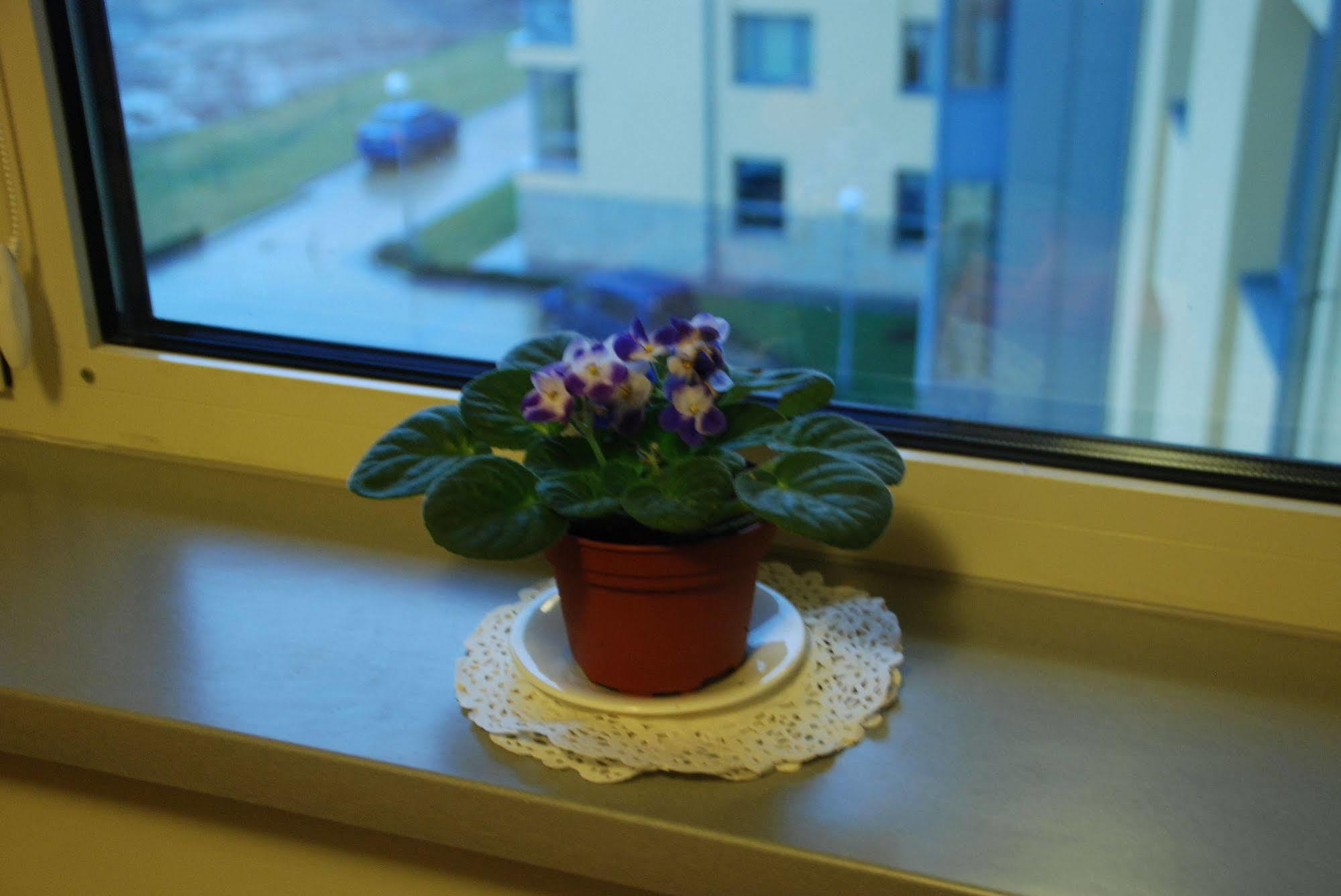 Ucu Inn - Кімнати Для Гостей Lviv Eksteriør billede